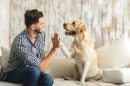 hundegeruch aus wohnung entfernen