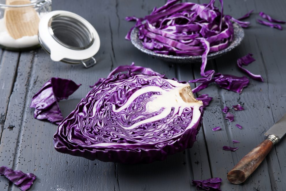 Rotkohl einfrieren