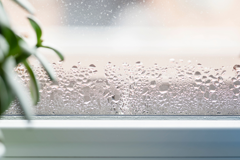 nasses fenster