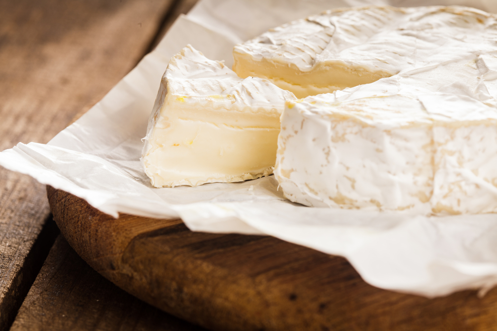 Camembert Käse