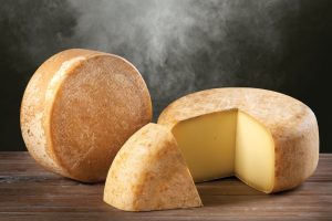 Fontina Käse