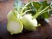 kohlrabi