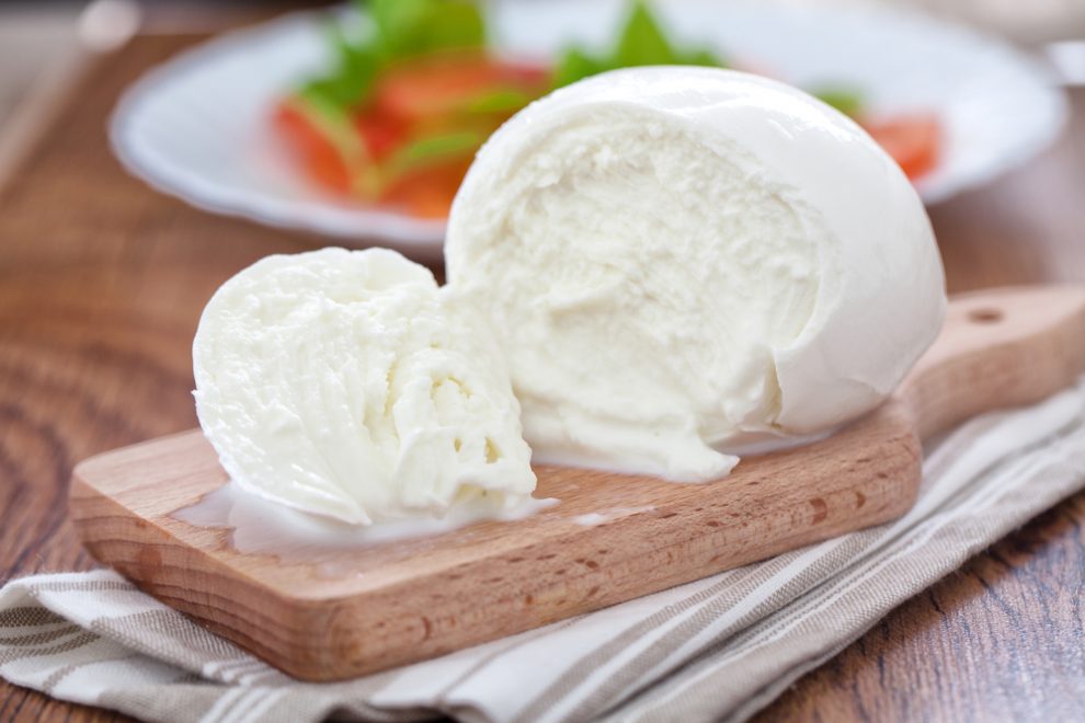 frischer Mozzarella
