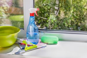fenster reinigen