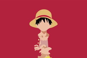one piece anime