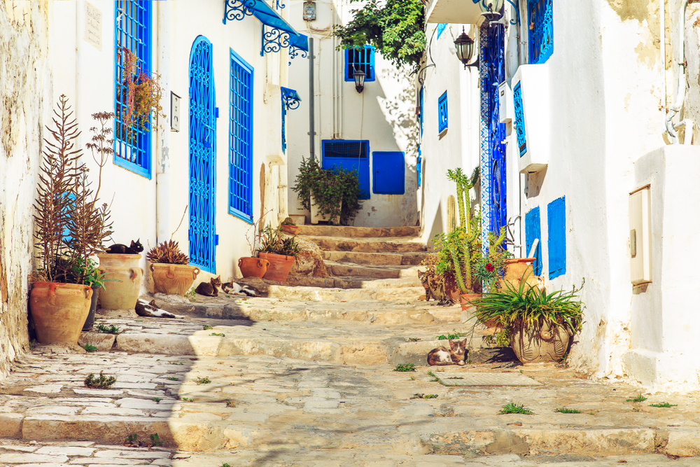 Sidi Bou Said